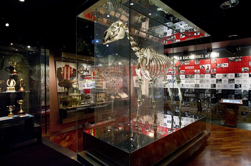 Horse Racing Gallery — exhibition overview at the Australian Sports Museum