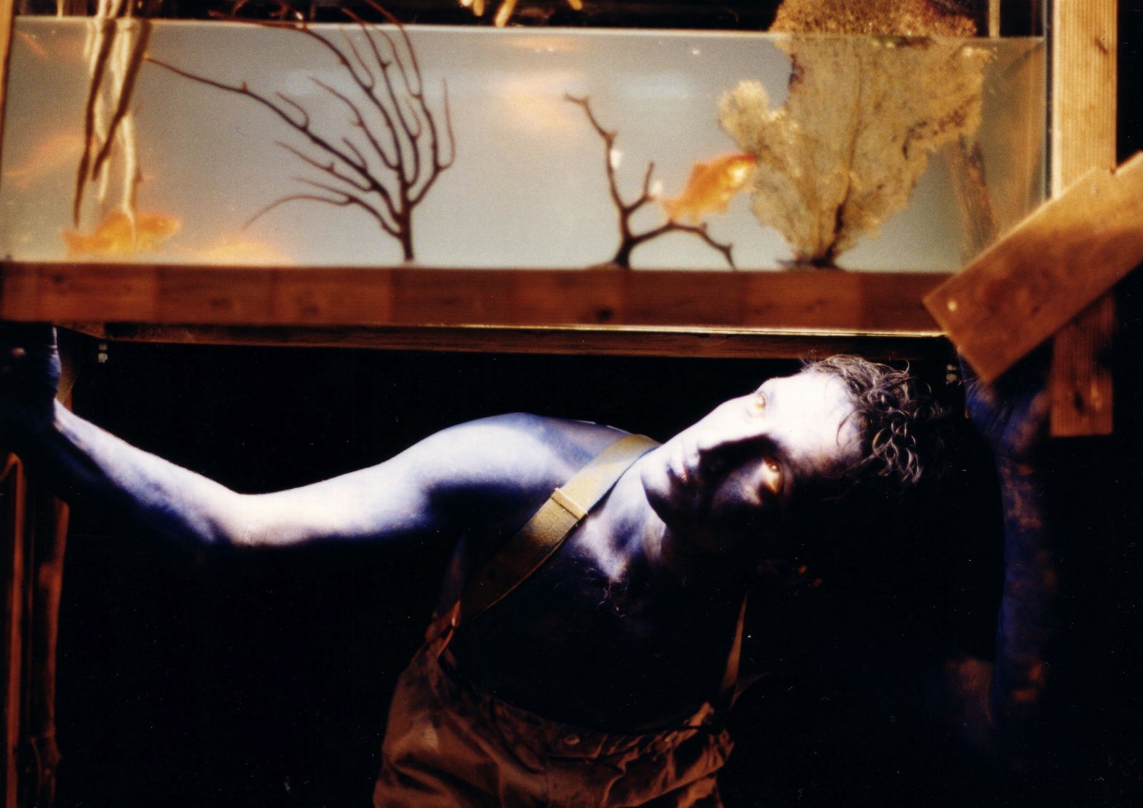 Zarco — Mal Pelo contemporary dance performance, stage overview